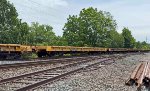 TPAX 97735 is new to rrpa.